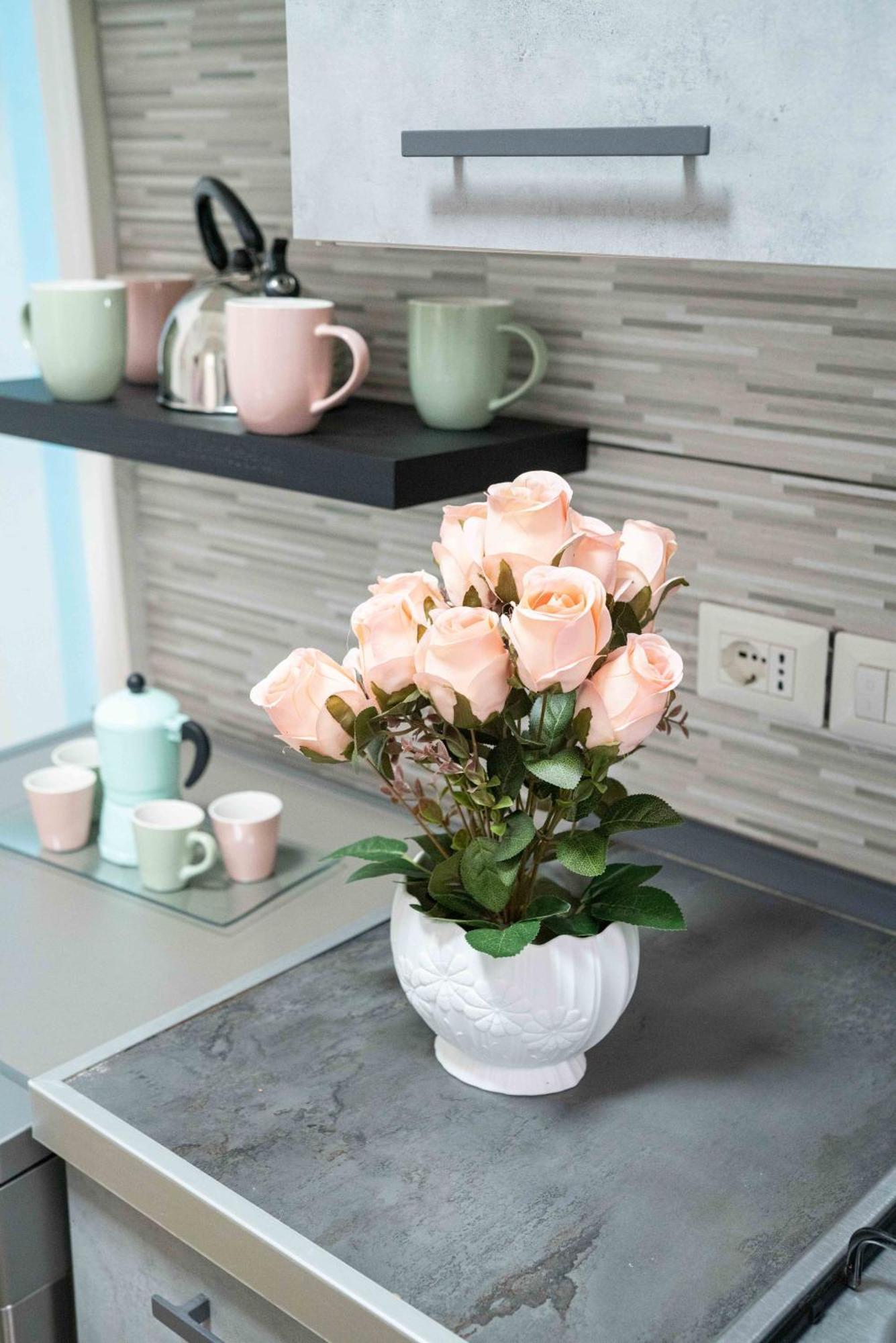 New In! Rose A Santa Lucia *
